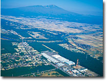 Sakata Plant