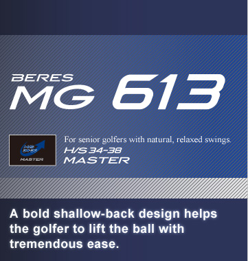 BERES MG613 DRIVER