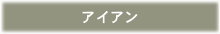 アイアン