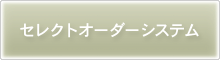 セレクトオーダーシステム